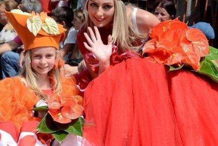 Madeira Flower Festival 2013/Paixão Colorida
