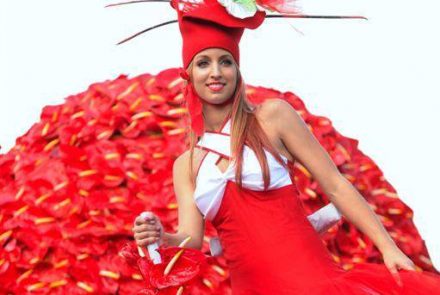 Madeira Flower Festival 2013/Paixão Colorida