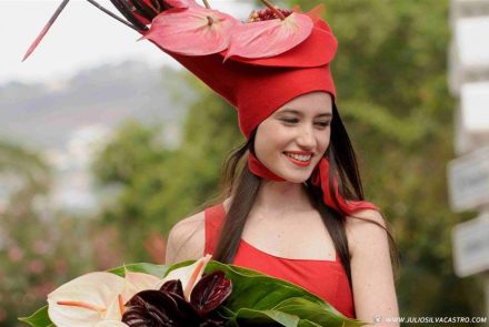 Madeira Flower Festival 2013/Paixão Colorida