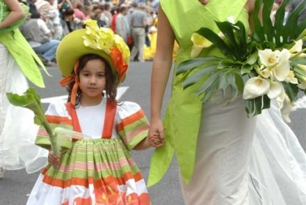 Madeira Flower Festival 2008/Project