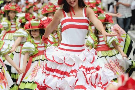 Madeira Flower Festival 2010/Project