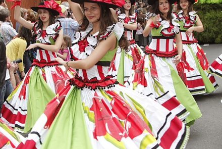 Madeira Flower Festival 2010/Project