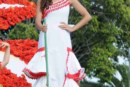 Madeira Flower Festival 2010/Project