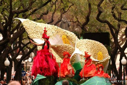 Madeira Flower Festival 2008/Project