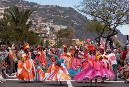 Madeira Flower Festival 2011/Dahlias