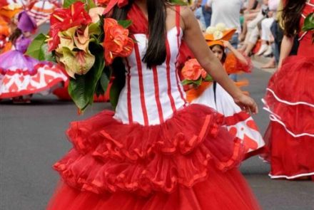 Madeira Flower Festival 2013/Project