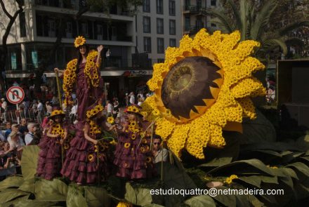 Madeira Flower Festival 2007/Flores do Sol