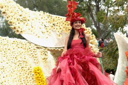 Madeira Flower Festival 2008/Fadas da Ribeira