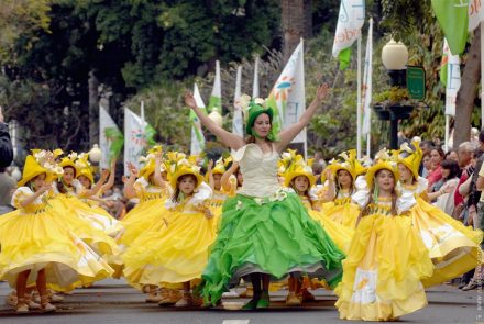 Madeira Flower Festival 2008/Fadas da Ribeira