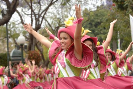 Madeira Flower Festival 2008/Fadas da Ribeira
