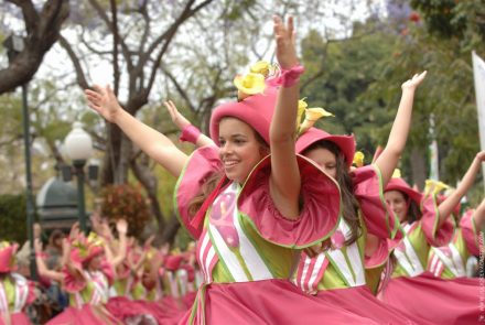 Madeira Flower Festival 2008/Fadas da Ribeira