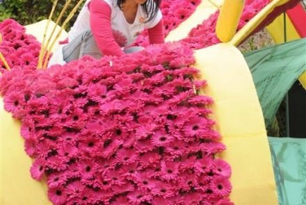 Madeira Flower Festival 2012/Float Flowers