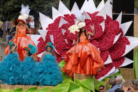 Madeira Flower Festival 2011/Dahlias