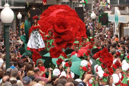 Madeira Flower Festival 2006/Rosas