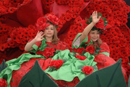 Madeira Flower Festival 2006/Rosas