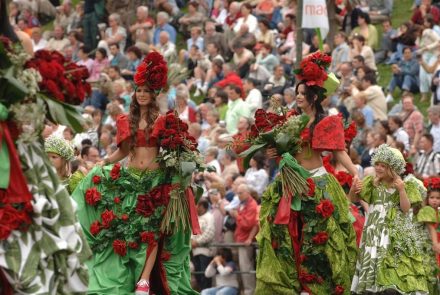 Madeira Flower Festival 2006/Rosas