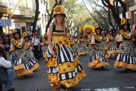 Madeira Flower Festival 2007/Flores do Sol