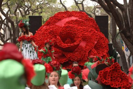 Madeira Flower Festival 2006/Rosas