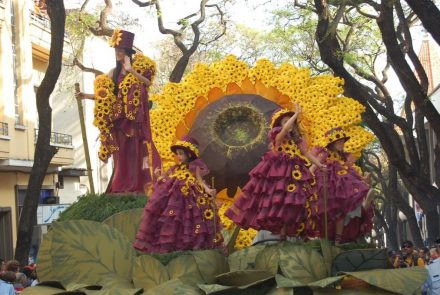 Madeira Flower Festival 2007/Flores do Sol