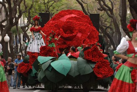 Madeira Flower Festival 2006/Rosas