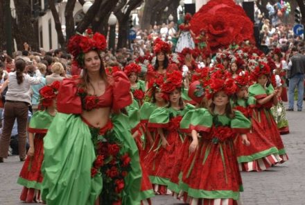 Madeira Flower Festival 2006/Rosas