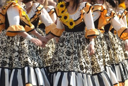 Madeira Flower Festival 2007/Project