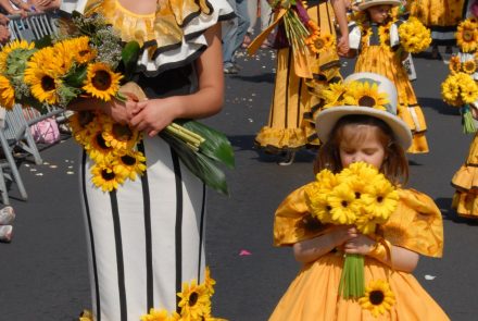 Madeira Flower Festival 2007/Project