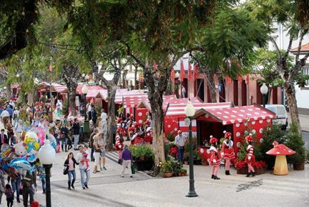 End of the Year Festivities 2013/”Mercadinho de Natal”