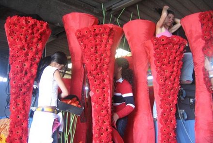 Madeira Flower Festival 2005/Float Flowers