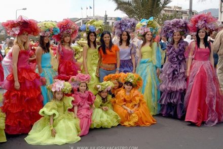 Madeira Flower Festival 2005/Project
