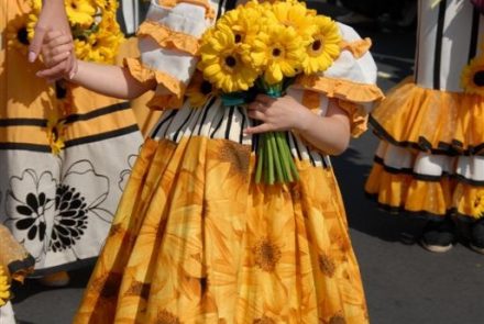 Madeira Flower Festival 2007/Project
