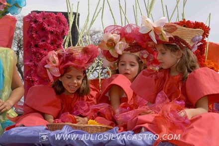 Madeira Flower Festival 2005/Flores do Mar