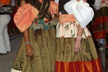 Madeira Wine Festival 2006/Project