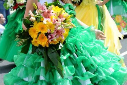 Madeira Flower Festival 2014/Project