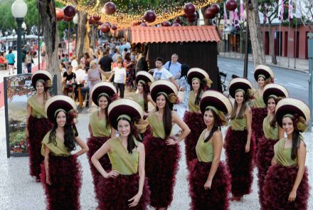 Madeira Wine Festival 2014/Grapes in Festivity