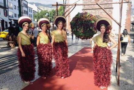 Madeira Wine Festival 2014/Project