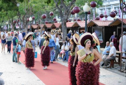 Madeira Wine Festival 2014/Project