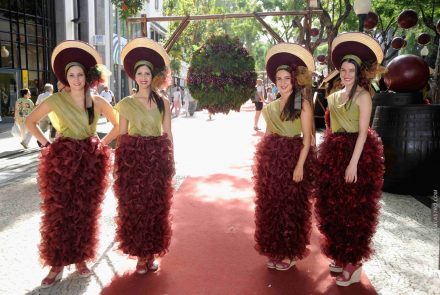 Madeira Wine Festival 2014/Grapes in Festivity