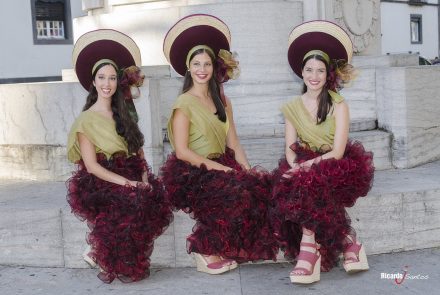 Madeira Wine Festival 2014/Grapes in Festivity