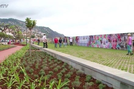 Dreamland panel with 500m2/Praça Povo/Funchal