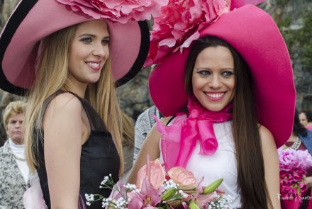 Madeira Flower Festival 2016/ End of the Parade