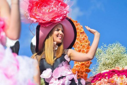 Madeira Flower Festival 2016/Pink Ladies