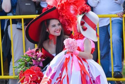 Madeira Flower Festival 2016/Pink Ladies
