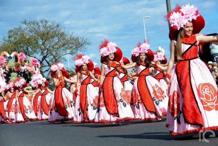 Madeira Flower Festival 2016/Pink Ladies