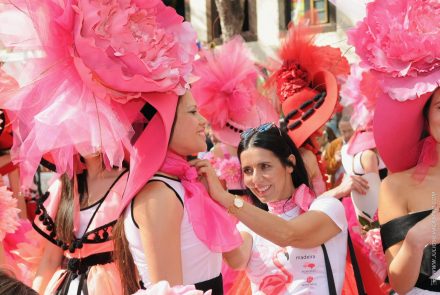 Madeira Flower Festival 2016/Pink Ladies
