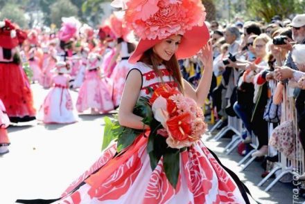 Madeira Flower Festival 2016/Pink Ladies