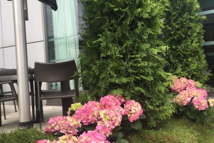 Madeira Food, Wine & Flower Show 2016/Pestana Chelsea Bridge Hotel and Spa
