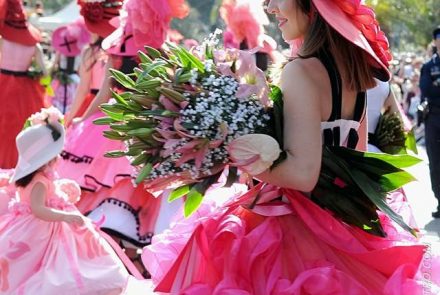 Madeira Flower Festival 2016/Pink Ladies