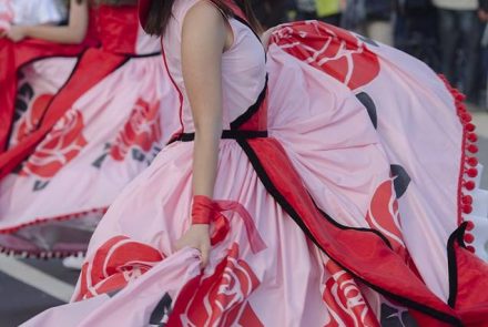 Madeira Flower Festival 2016/Pink Ladies