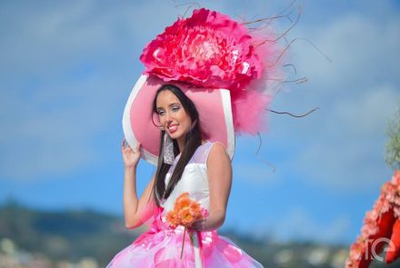 Madeira Flower Festival 2016/Pink Ladies